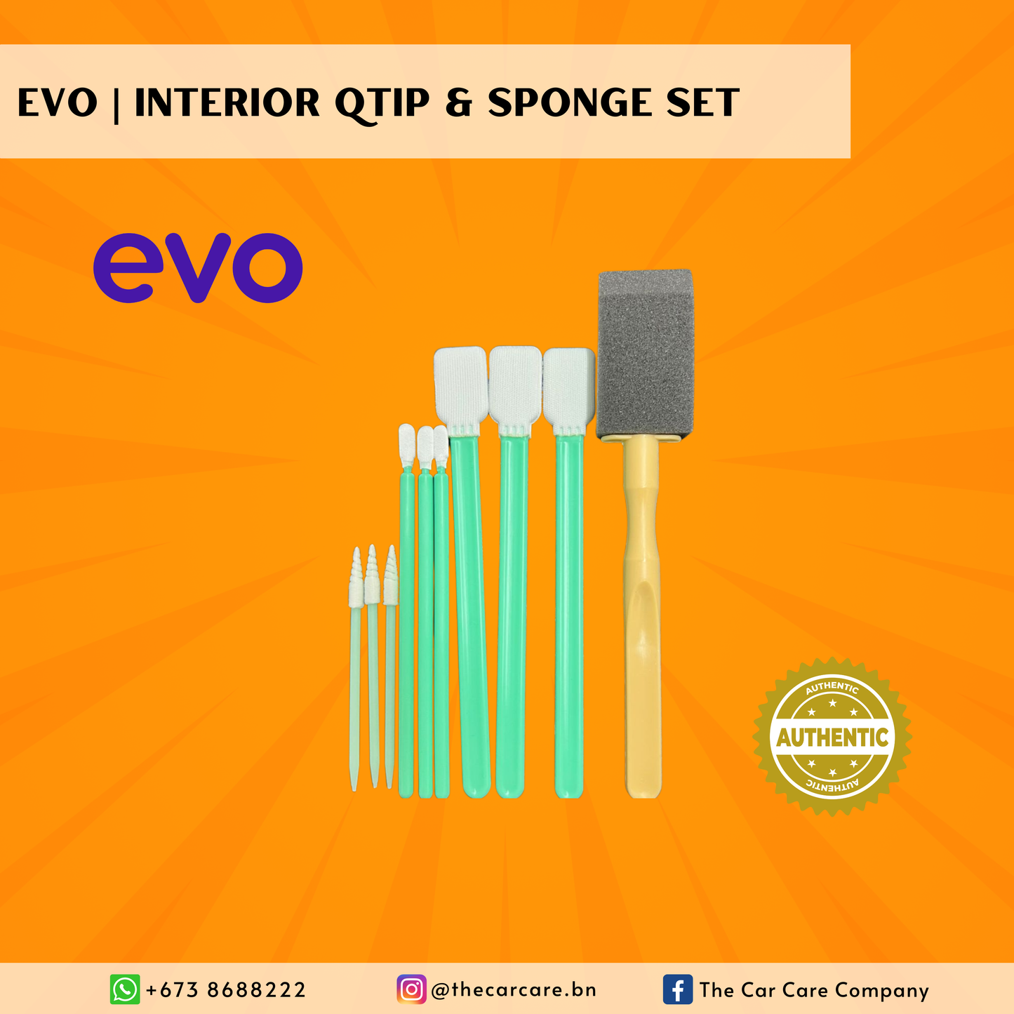 Interior Qtip & Sponge Set