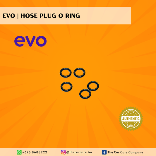 Hose Plug O Ring