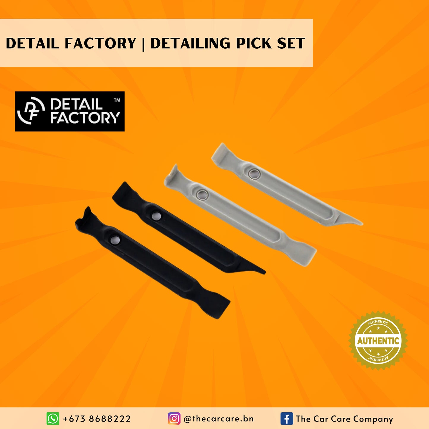 Detailing Pick Set