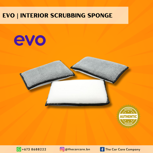 Interior Scrubbing Sponge