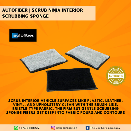 Scrub Ninja Interior Scrubbing Sponge