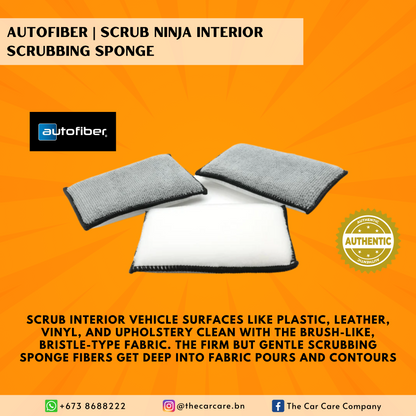 Scrub Ninja Interior Scrubbing Sponge