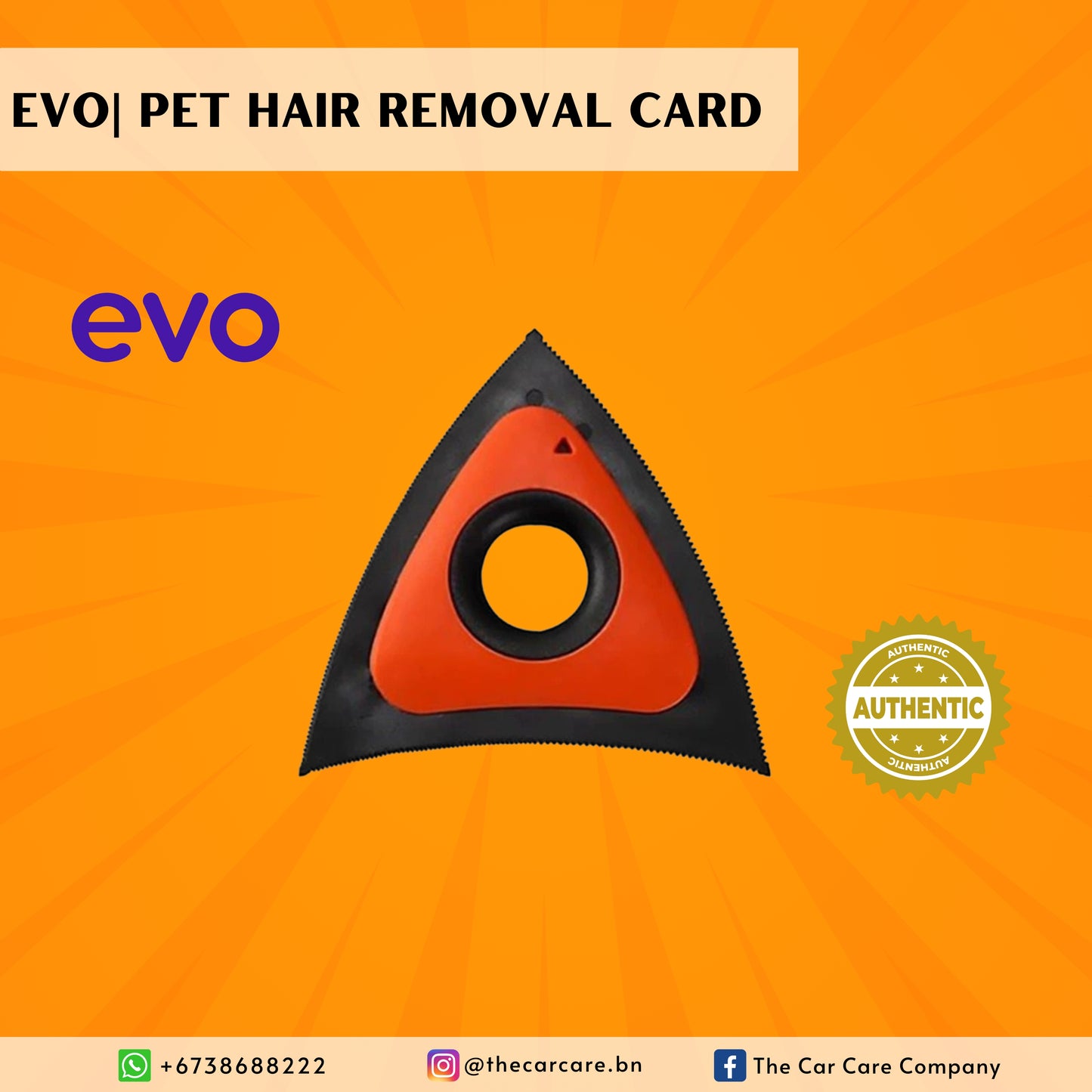 Pet Hair Removal Triangle