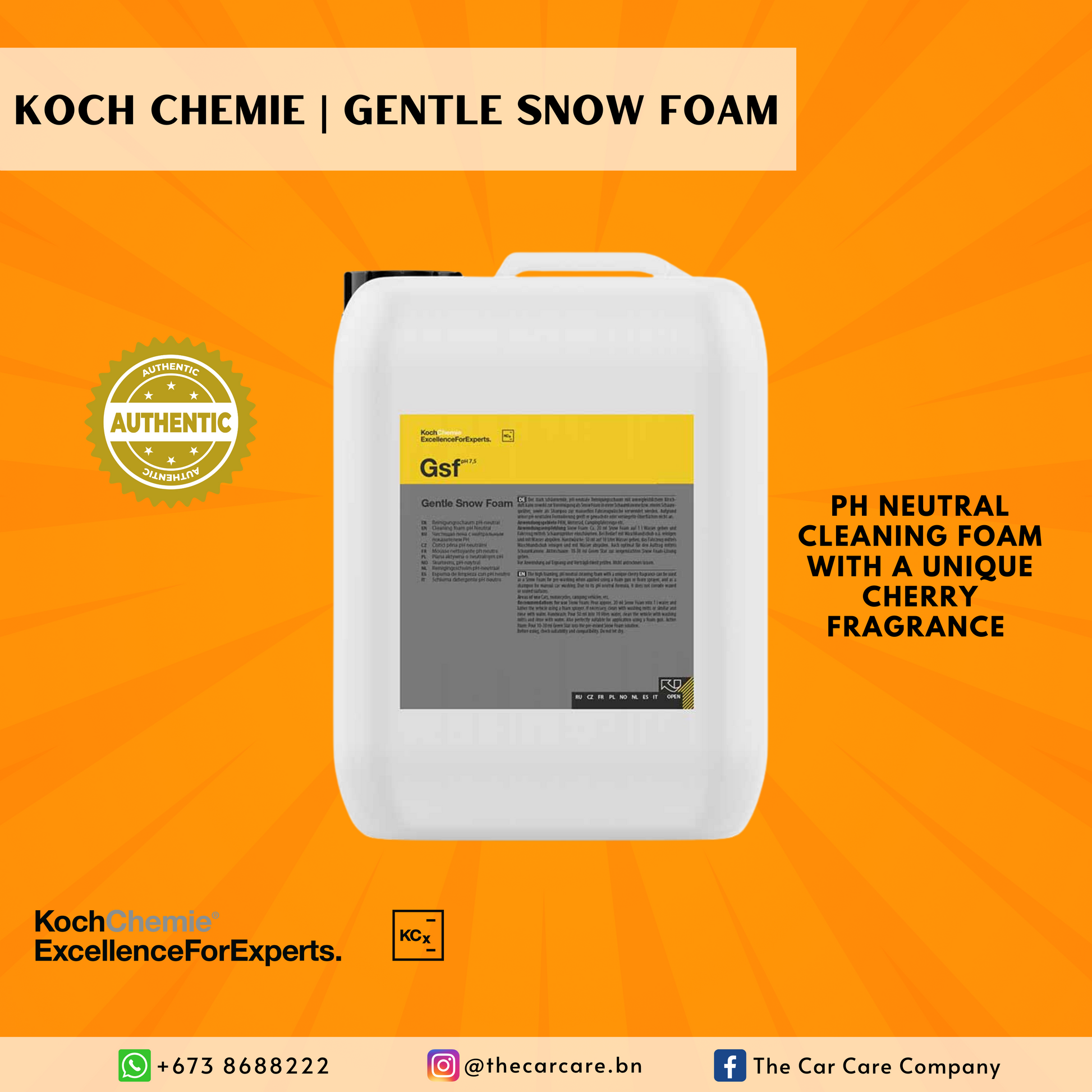 Gentle Snow Foam - Case