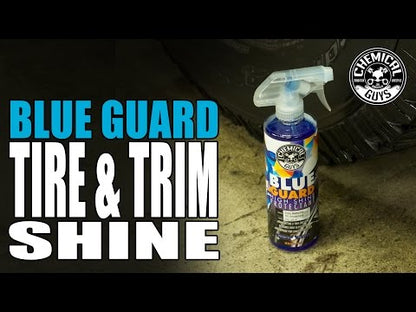 Blue Guard High Shine Protectant